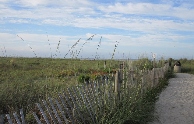 View the beach and Oak Island NC pictures.